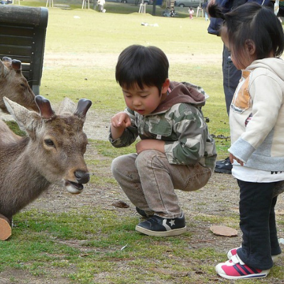 Japan Kids
